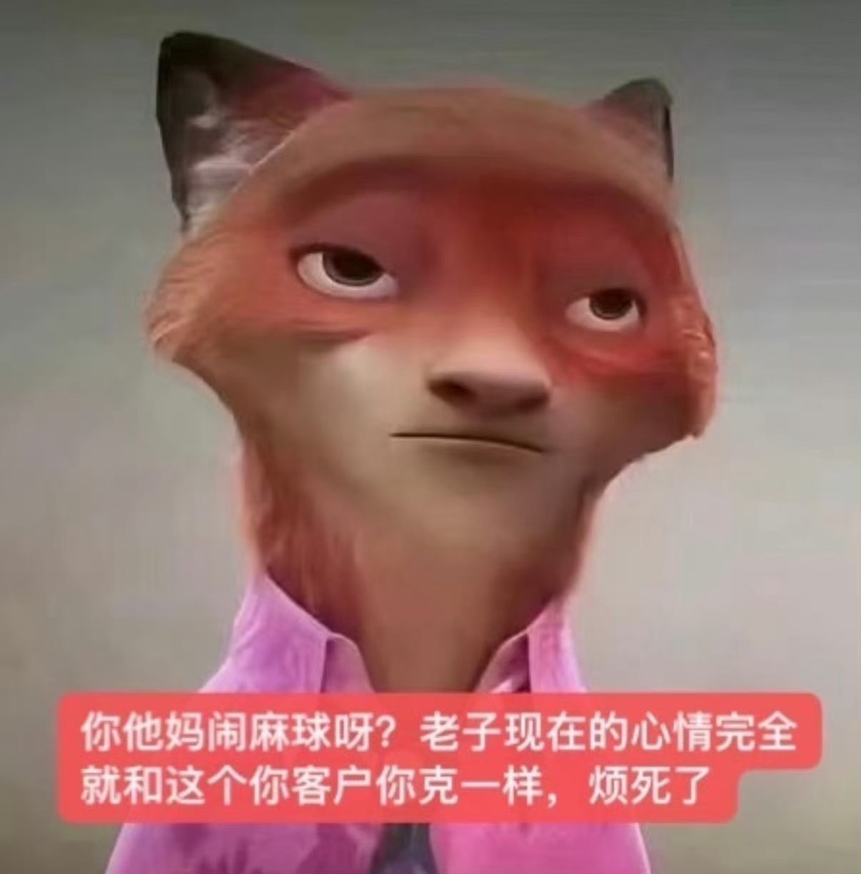 分享图片 ​​​