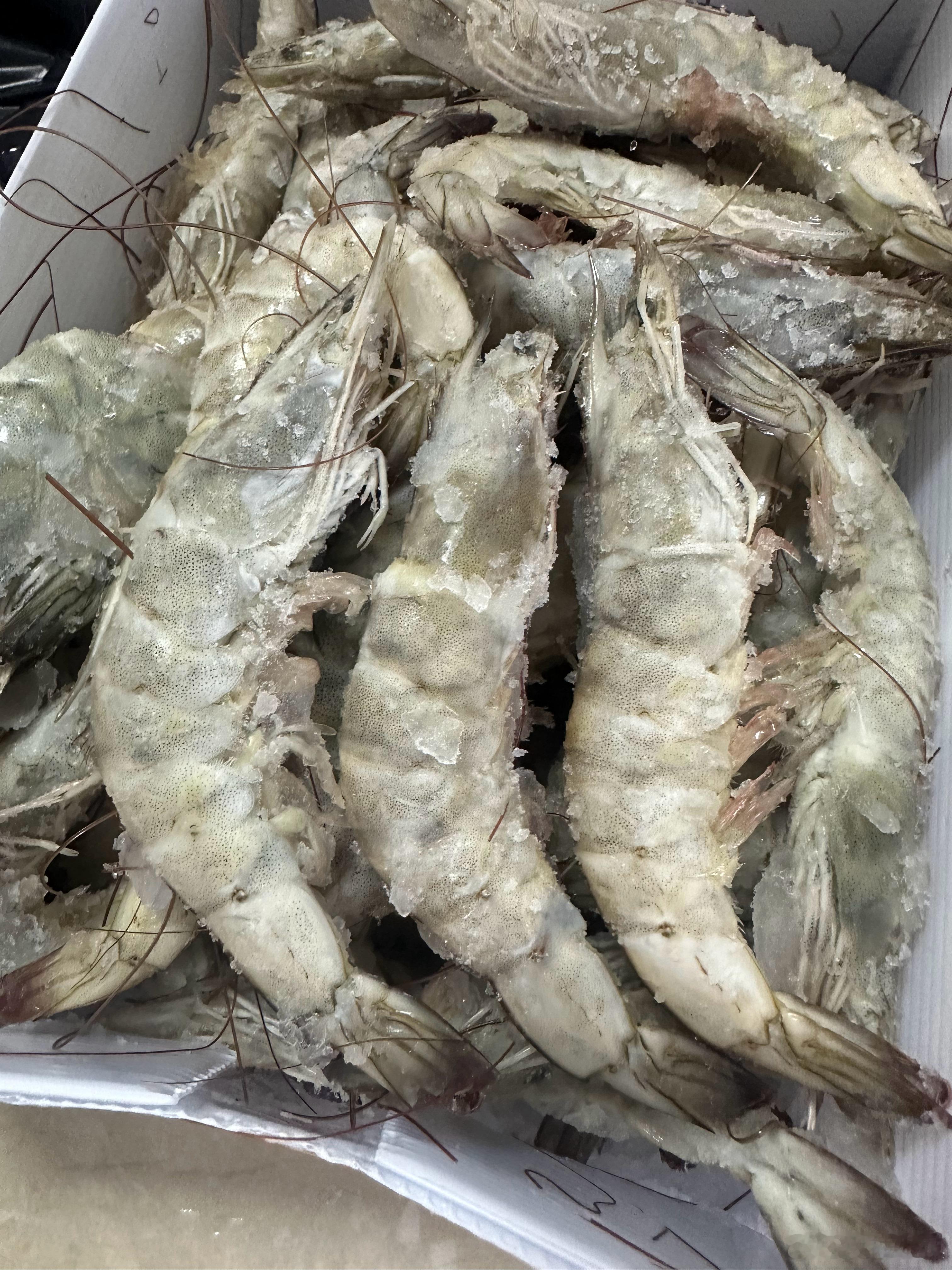 爆款回归4050大虾个头也能这么大～低脂高蛋白，减脂期的朋友放心吃，一箱到手70