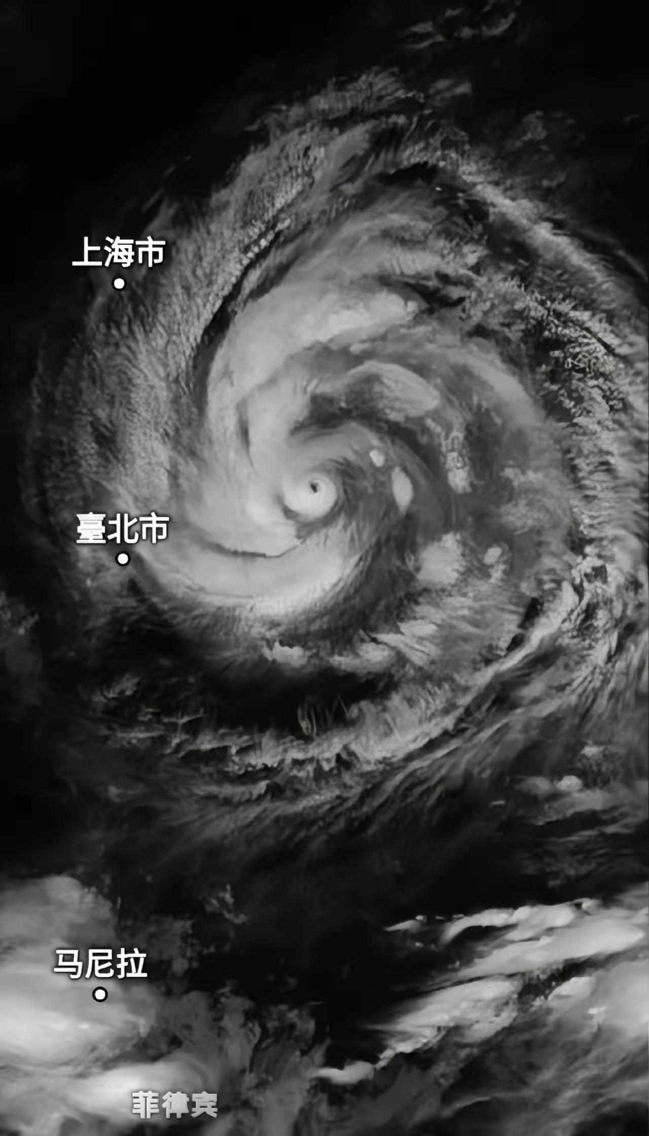 王铎：这次白海豚台风的巨大推动力，使青岛的海水掀起了巨浪。
据悉，从昨天起，小青