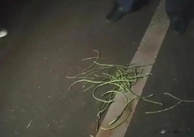 太丢人了！湖南常宁，有村民夜间发现菜地有动静，查看时发现竟然有两男一女偷着摘豆角