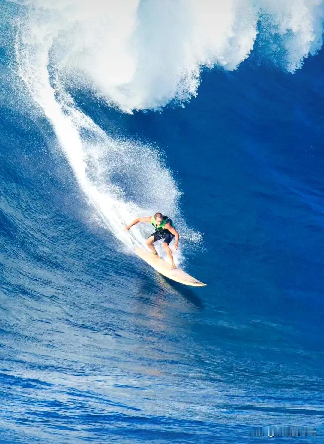 这次，政策对头，周期低位，人气恢复大超预期，老林站队多头[马思纯的微笑]

一个