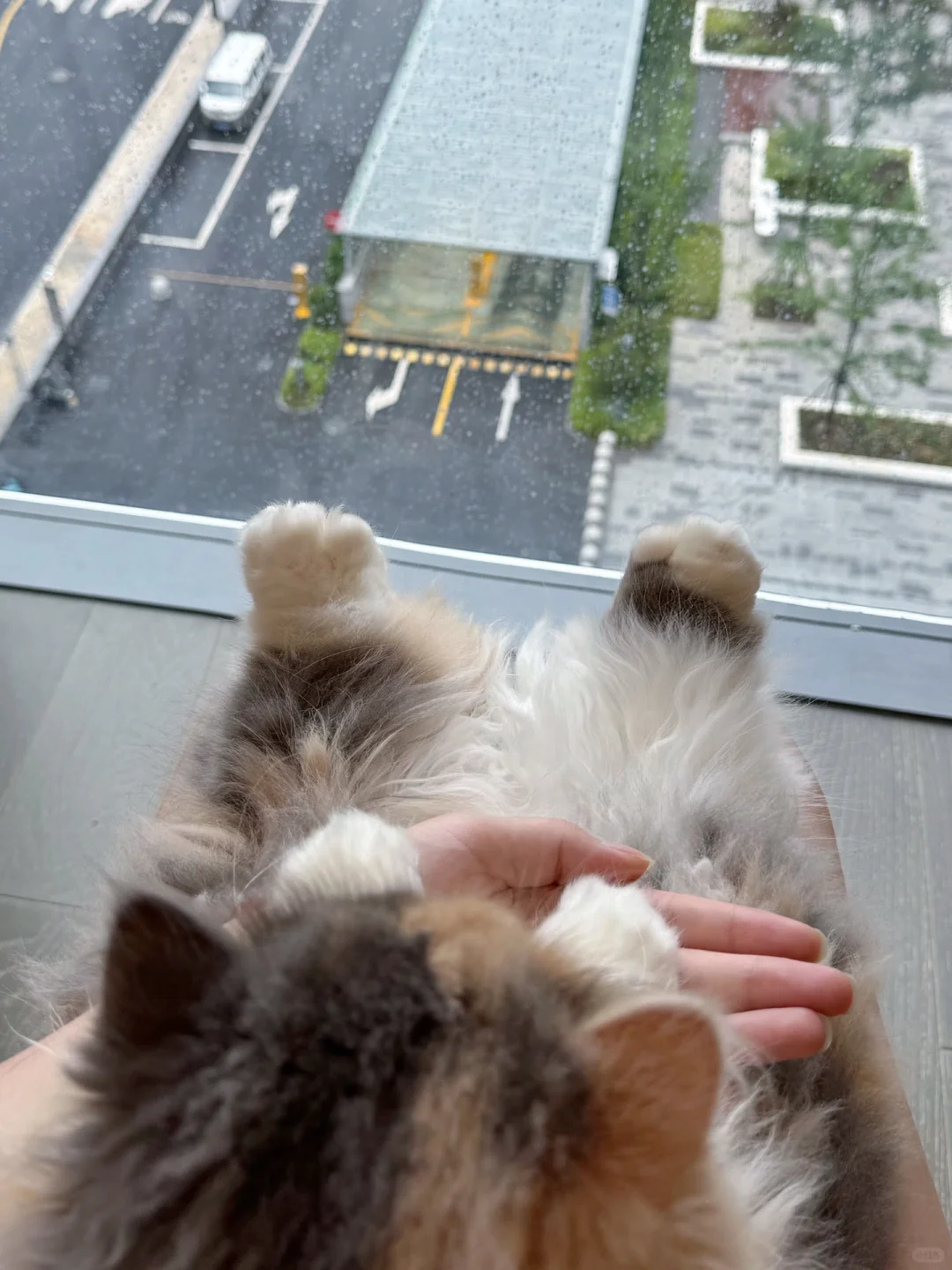 总裁 该洗脚了