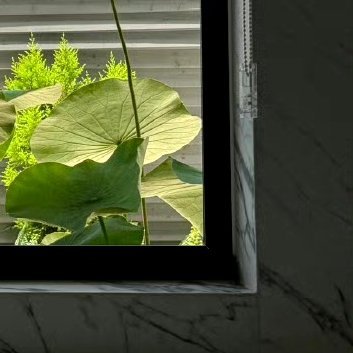 每日一善‎每日一善 ‎阳光‎信用 梦有多燃，就能飞得多远。时时有所创造、事事有所