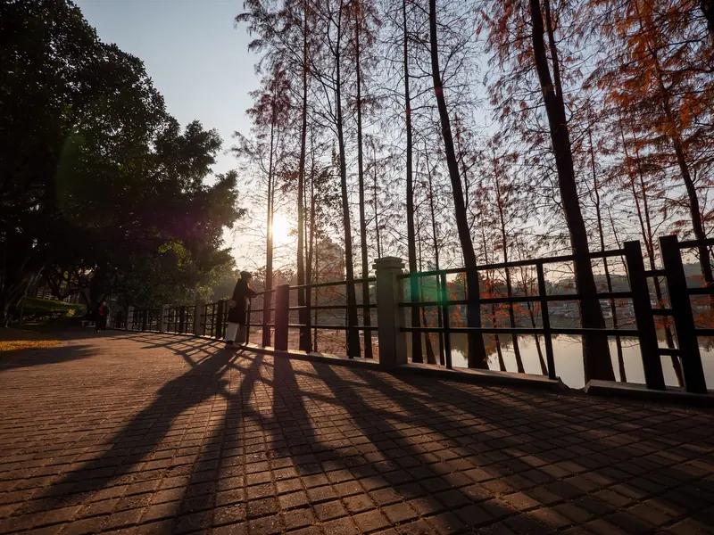 广东的冬天，活脱脱一场像抽奖似的天气秀。有时气温像坐火箭，直飙二十多度，大街上穿