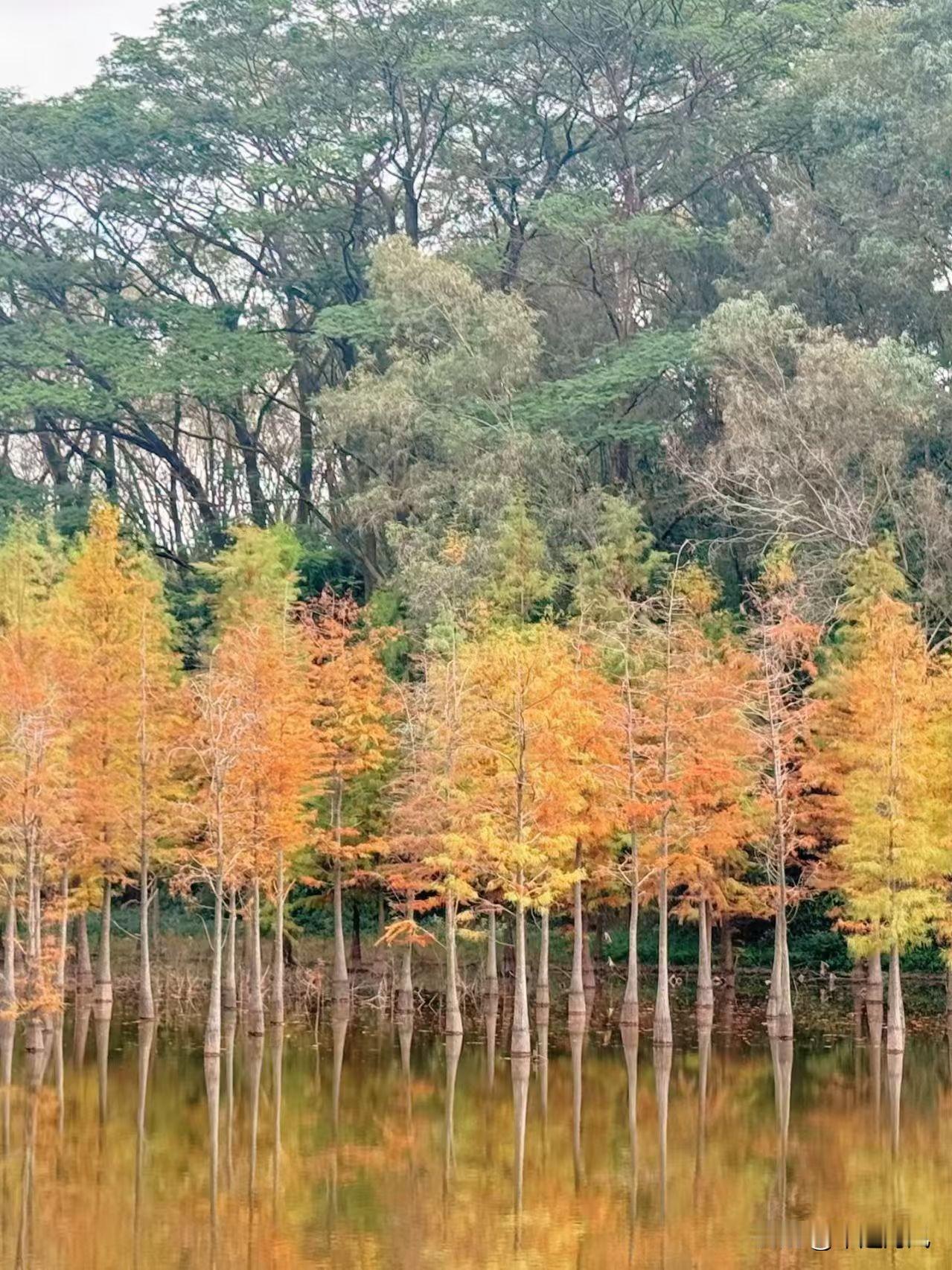 分享一下你随手拍下的照片