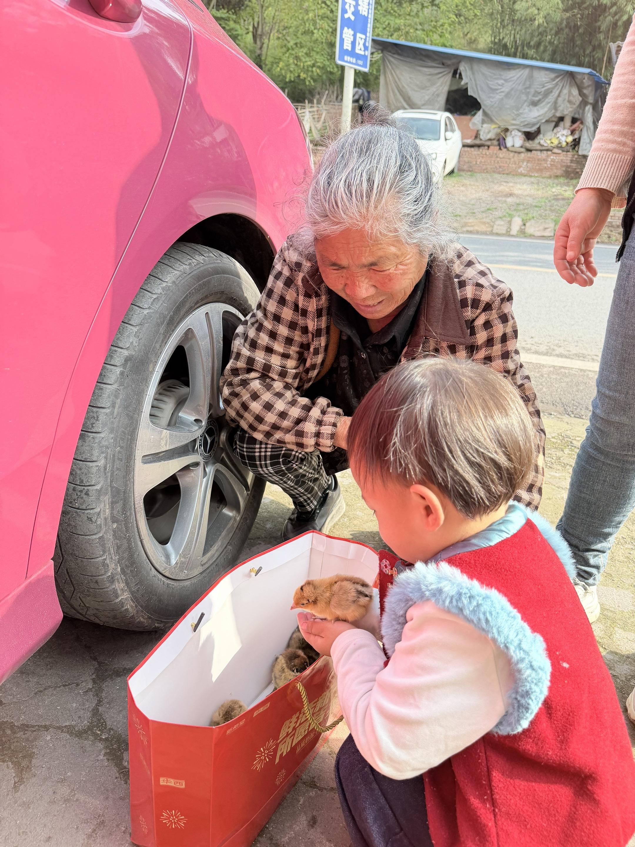 今日农村生活日记：幸福的秘诀就是，你拥有苹果时只在意苹果