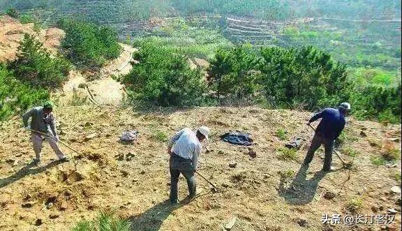 显然不可能归自己，最多只有开垦的荒地的使用权，没有所有权。所以要与村委会签订荒地