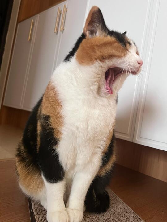 星期一坏！下午坏！