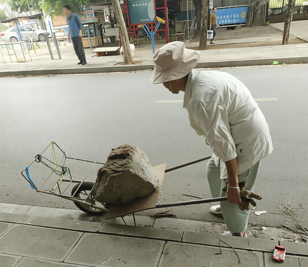 完了完了心脏病又犯了
今天早上我去曼沙小市场买菠菜回来，迎面看到图片上这个老太太