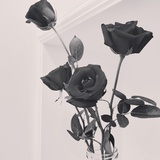 婕慧爱谈影视剧