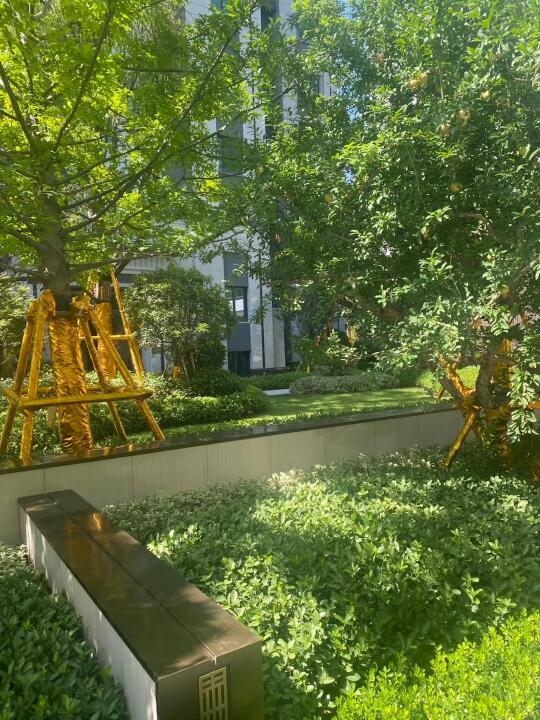 绿植的治愈力🌳🌳🌳