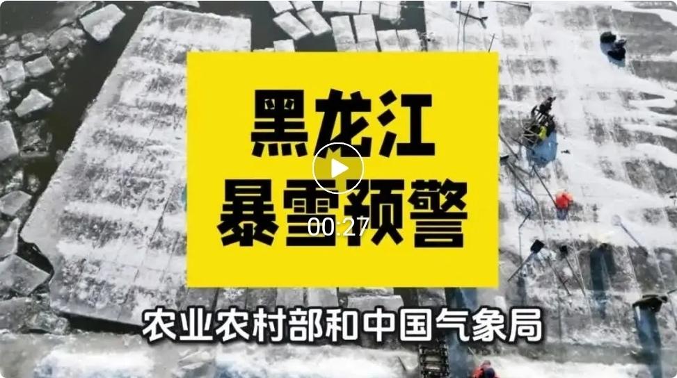 雨夹雪！中到大雪！暴雪要来黑龙江了-3o6SxEupavbqFd_AWiw