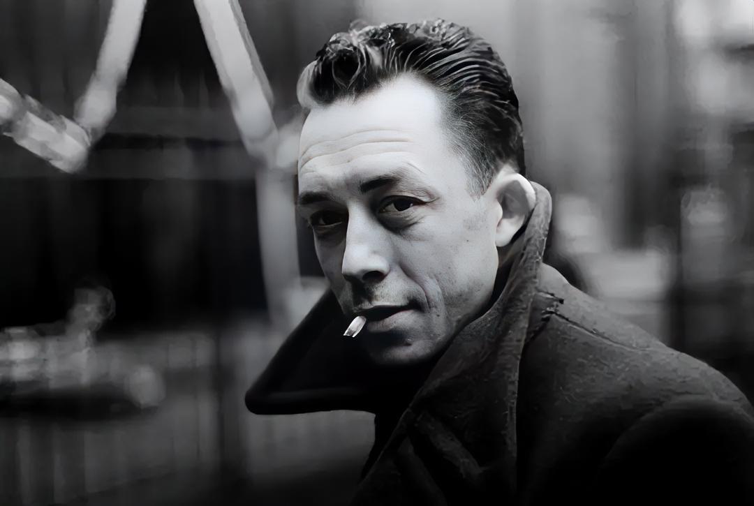 加缪的顶级文笔：
“我失去了对所有人倾诉的欲望，
于我而言。身边的所有人，
包括