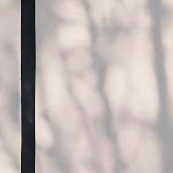 每日一善 “当你仰望星空时，星空也在仰望你！”实时号检测