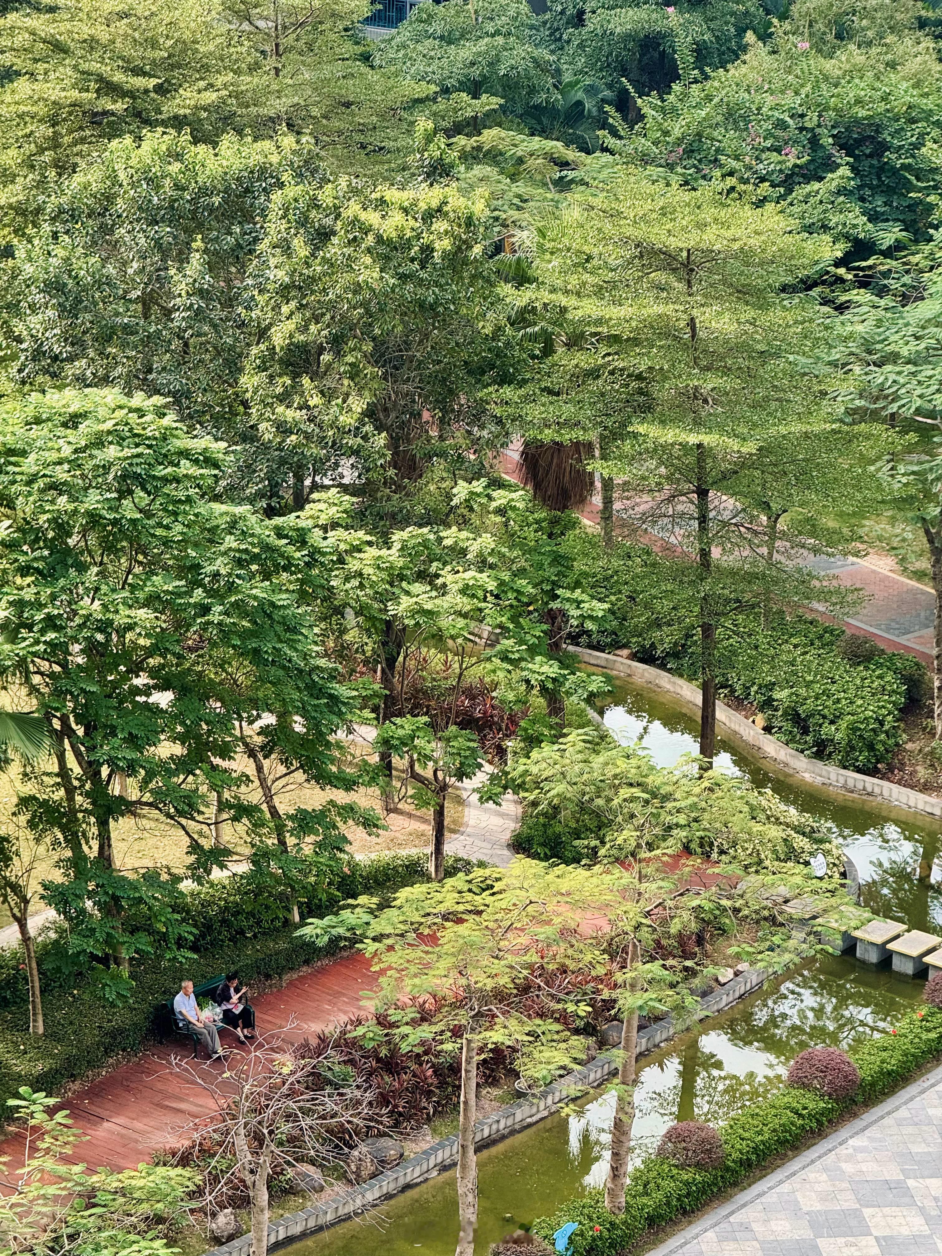 周一清晨，早安~  ​​​