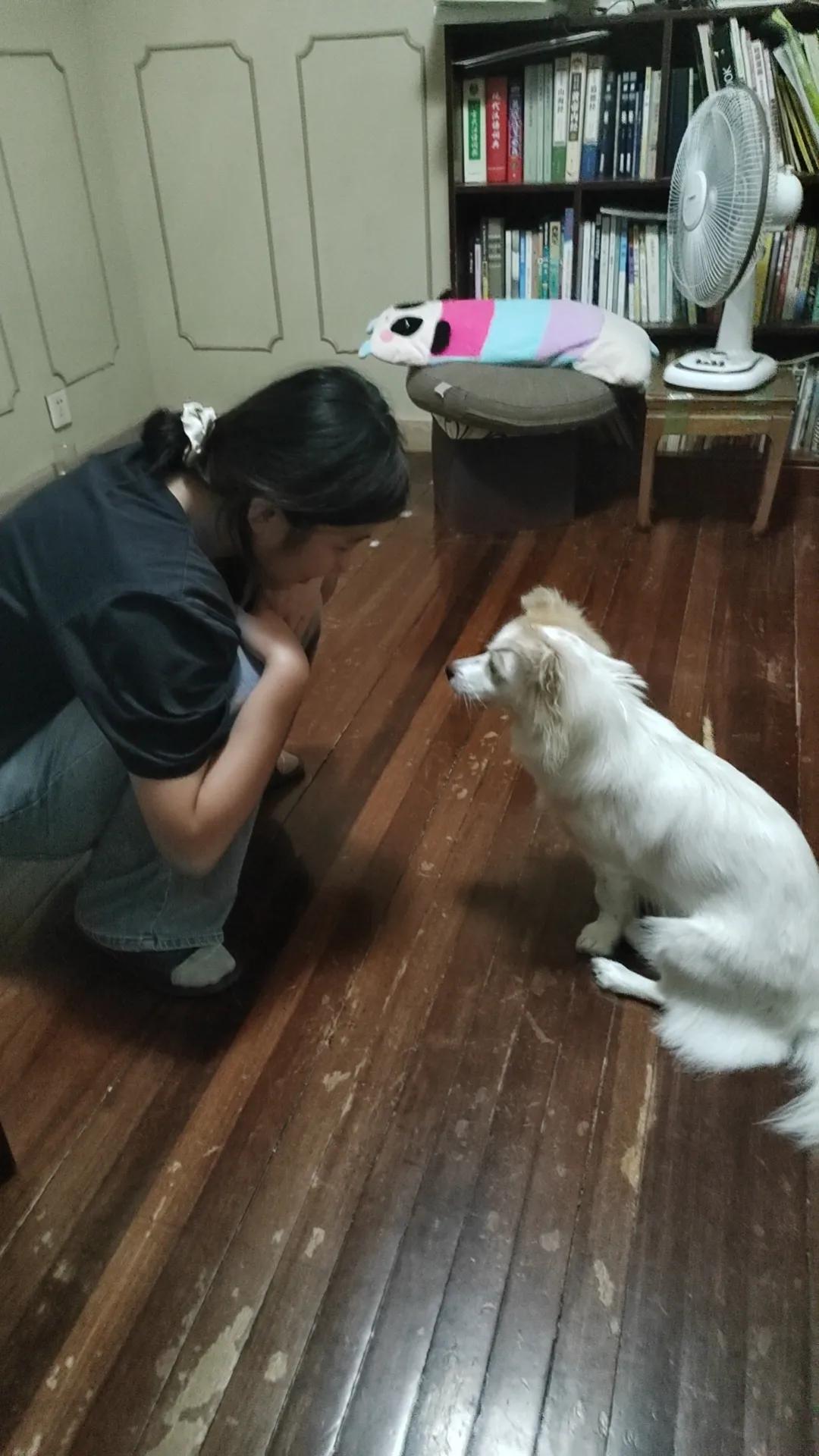 爸爸去世一百天，我没回去，妹妹回去了，顺带给侄女买了车票，趁着长的假期，让她到我