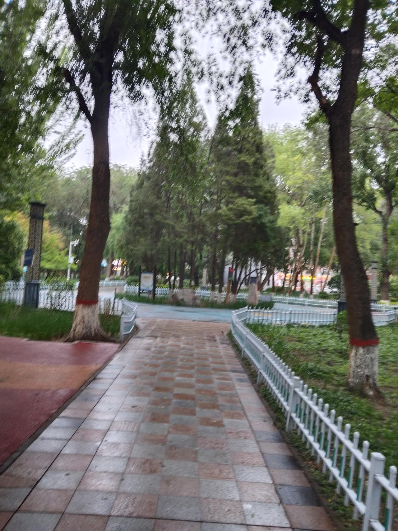 公园美景