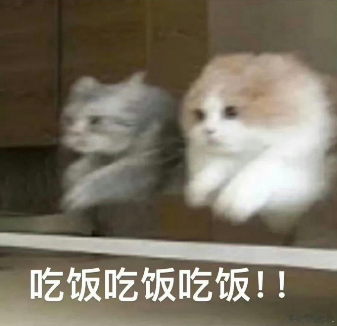 干饭时间！宝子们晚上吃的什么？老爸做的白砍鸡，新鲜度绝了 