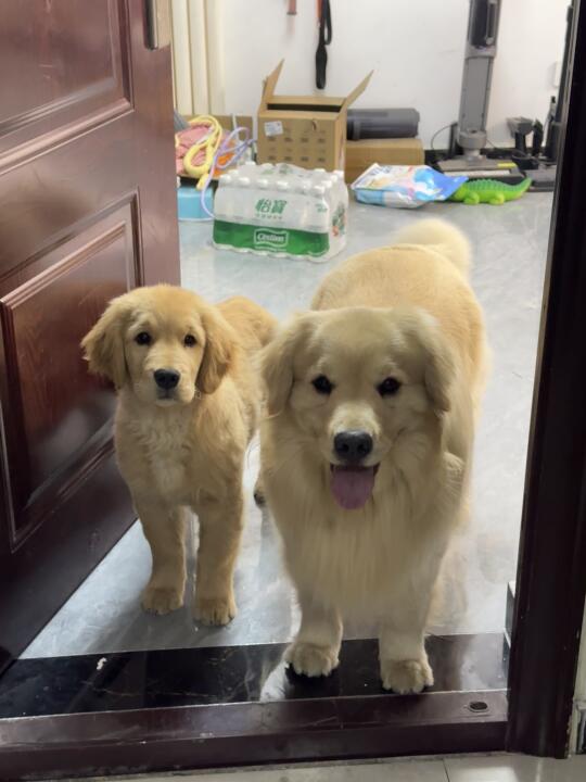 谁家宝宝坐的这么昂首挺胸啊