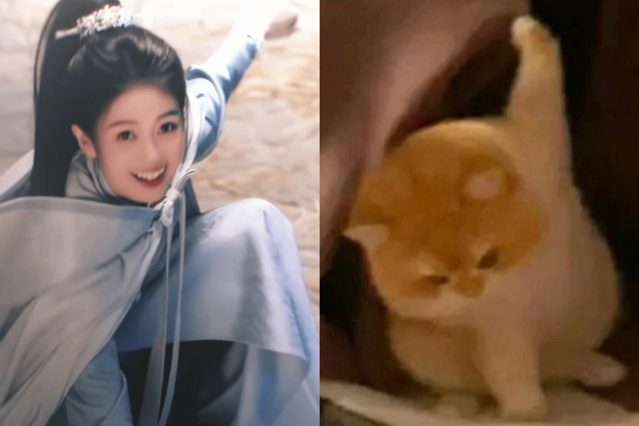 入我喵门 ₌᳐･֊･₌᳐੭ 白鹿 ​​​
