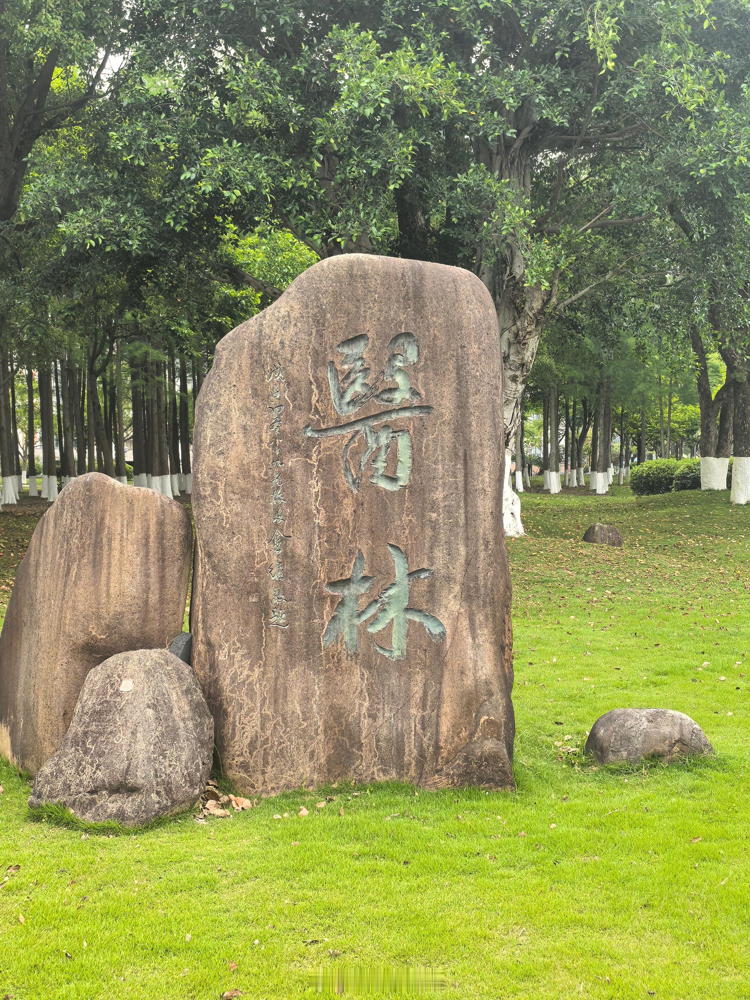 温州医科大学，不知道大家听过没有。最出圈的就是眼视光专业，眼视光医学为全国王牌顶