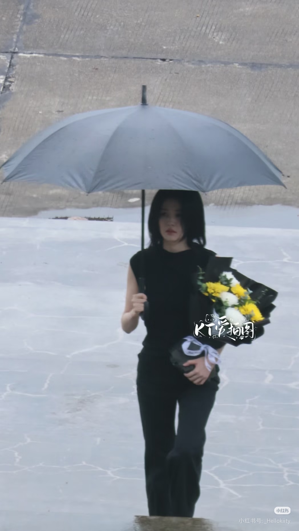 去上坟的晕呐 