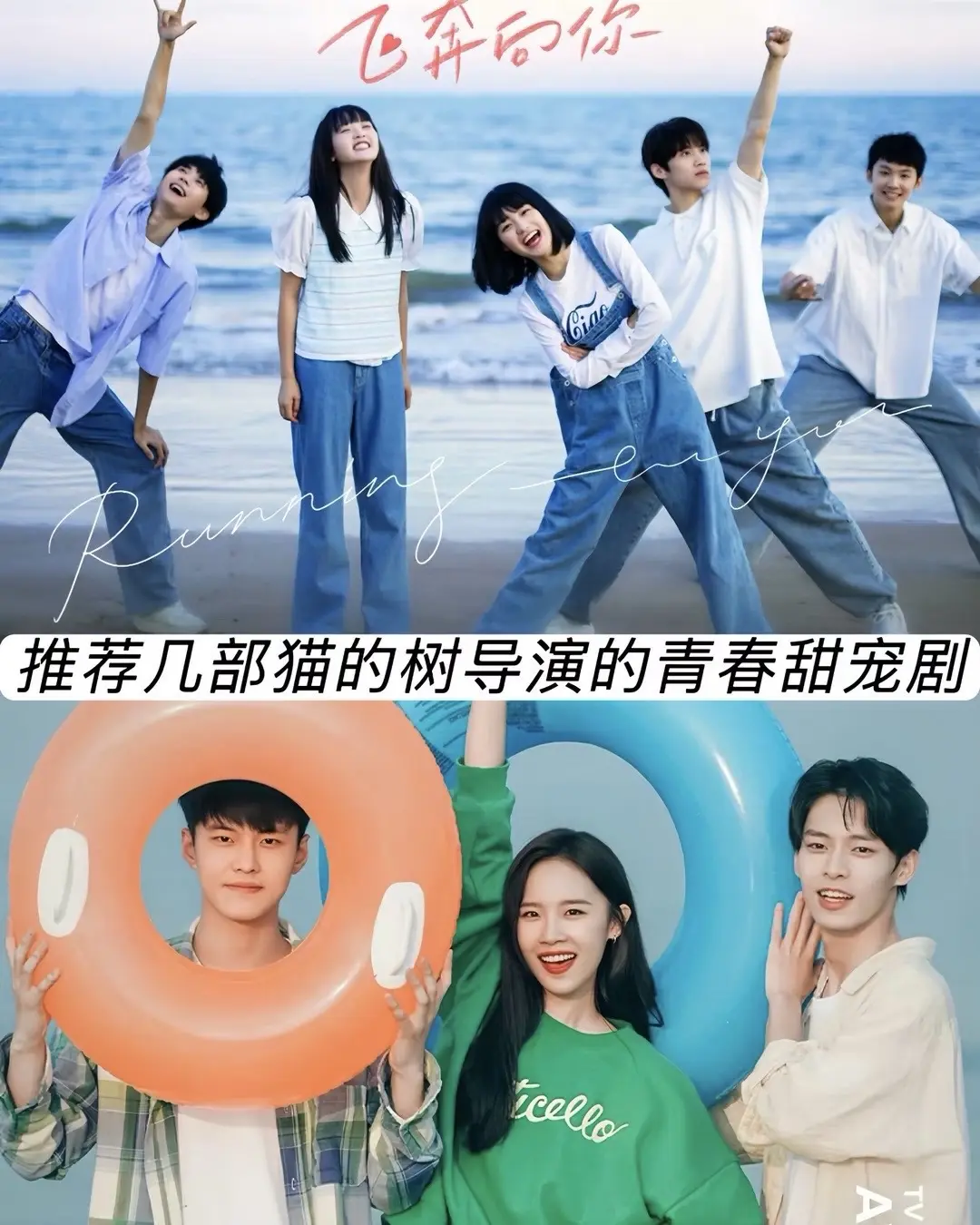 猫的树导演的青春偶像剧。