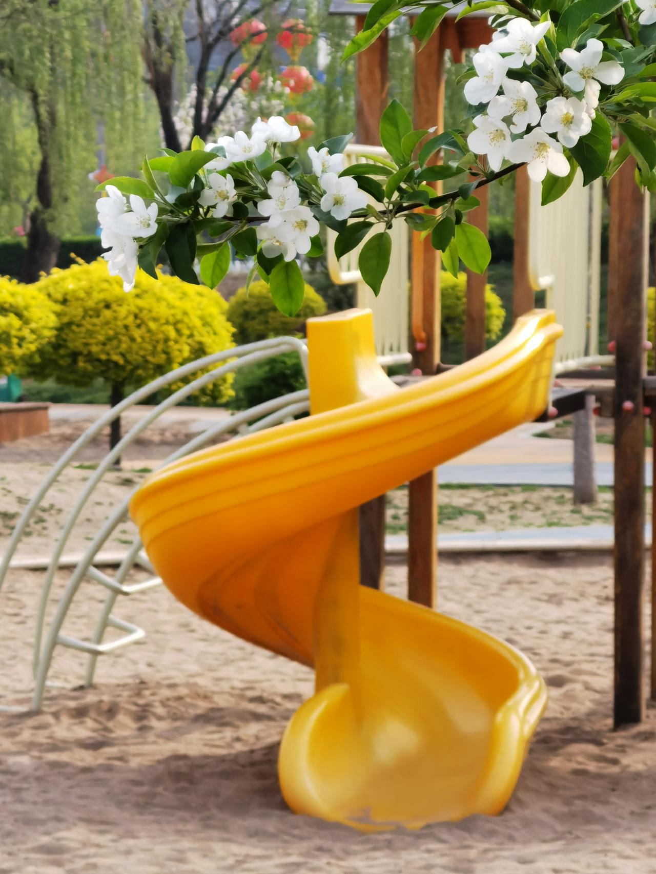 周末溜娃哪里去？儿童公园好去处！

承德市迎宾路和武烈河之间的儿童公园，是休闲时