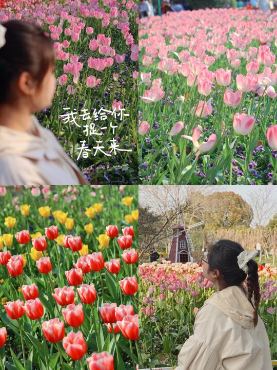 宁波春日赏花｜“像花一样往春天里赶”