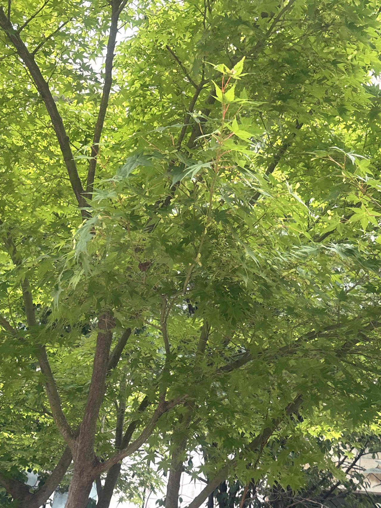 还有四年就退休，日子过得又熬又慌

距离退休只剩四年，心里总像跑完万米长跑，明明