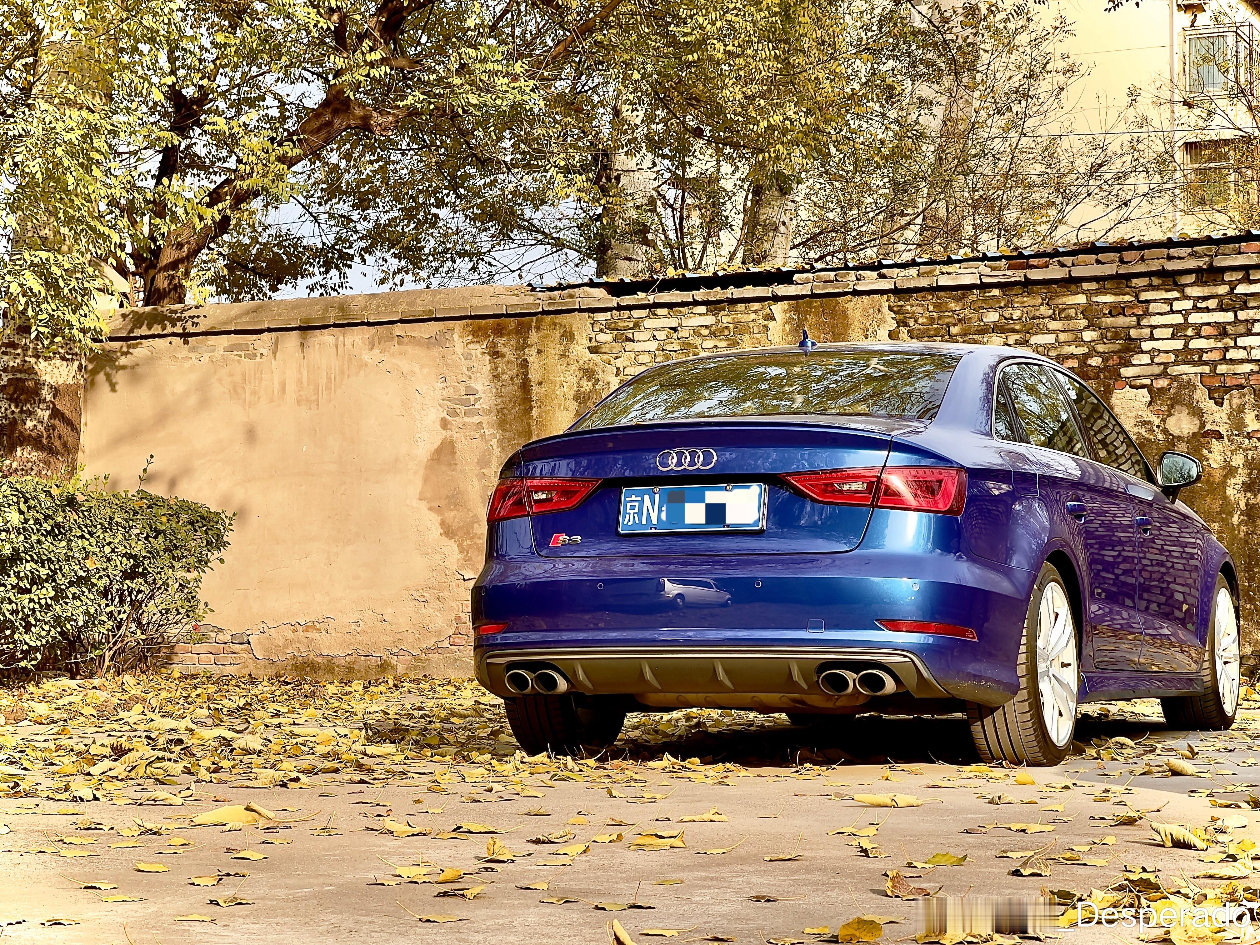 继续配落叶来一张。🍂 