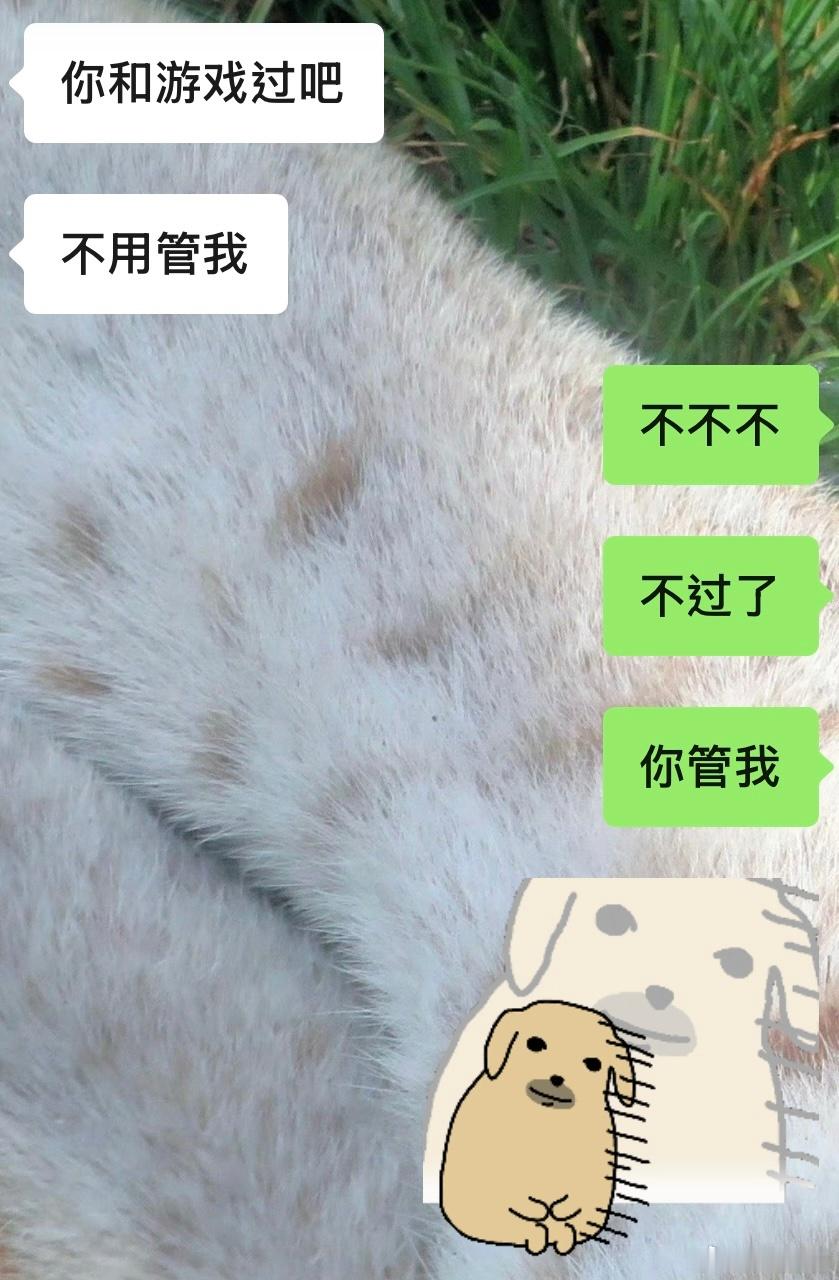 惹了就这样哄..哄完你的还是哄你的 