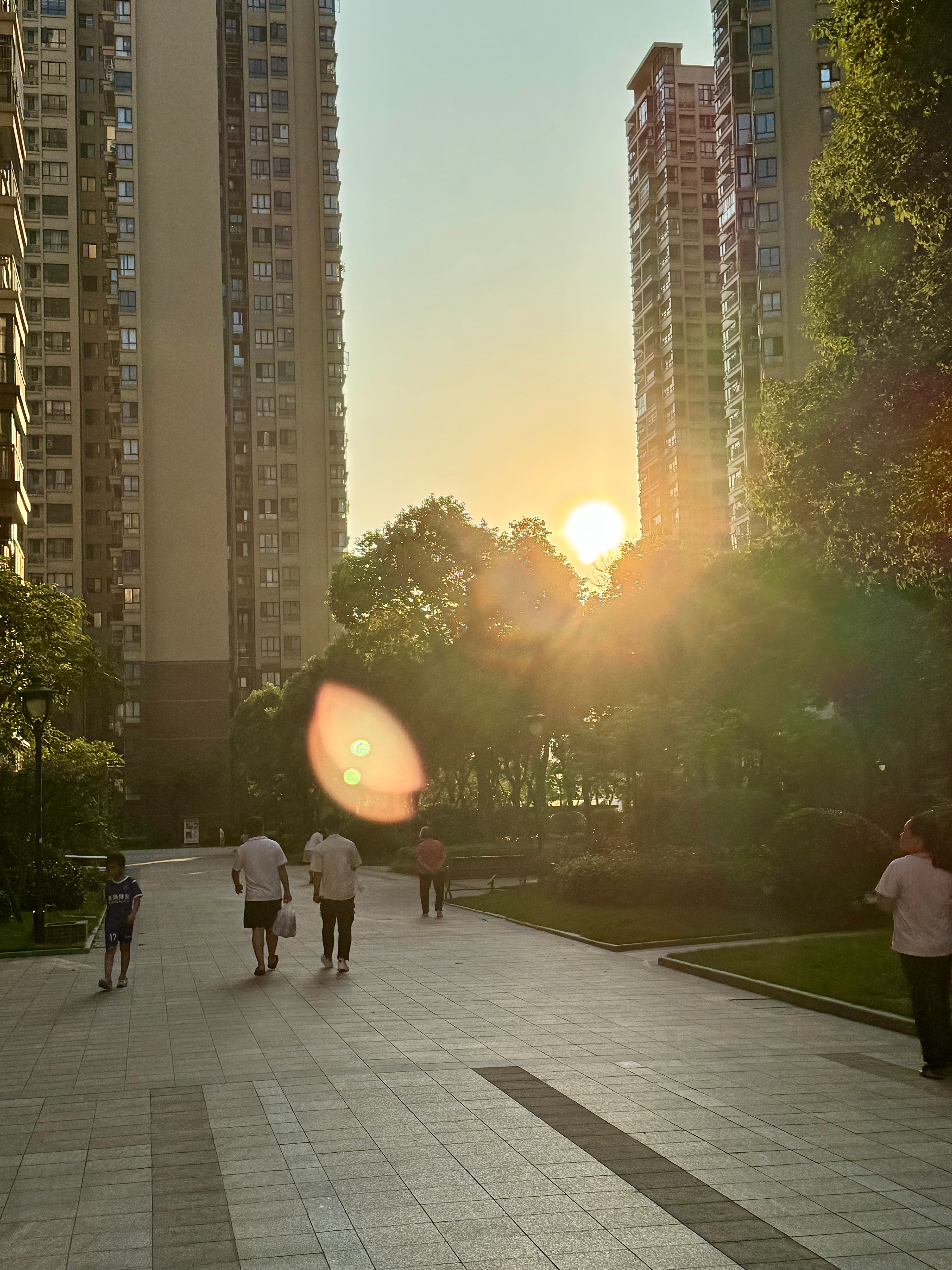 夕阳西下🌇落日与晚风 朝朝又暮暮。永远，永远偏爱落日和大自然的美景 