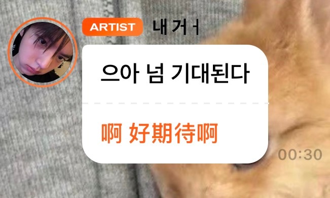 抓到一只猪还没睡  专栏 · 小兔幸福存档♡