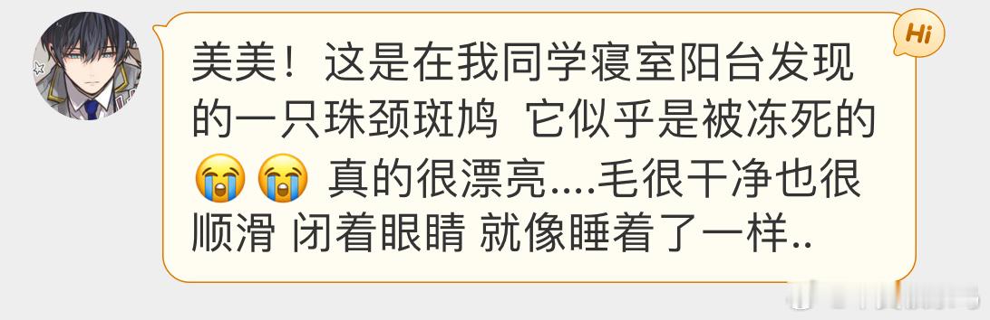 #撞玻璃的鸟# 撞玻璃的【珠颈斑鸠】再也不能随地大小蛋了[泪] ​​​