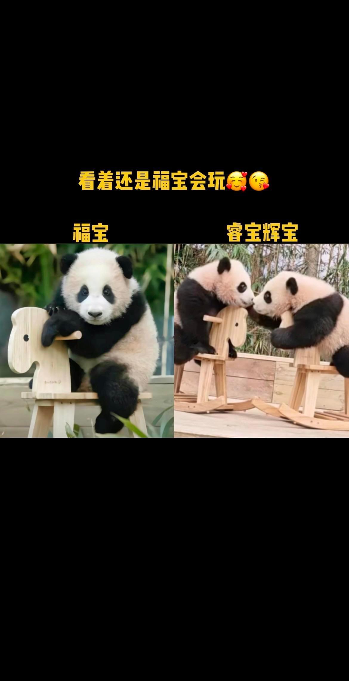 福宝小时候玩小木马，和现在俩个妹妹玩，俩个妹妹好像有点不太敢玩，看看福宝姐姐这小