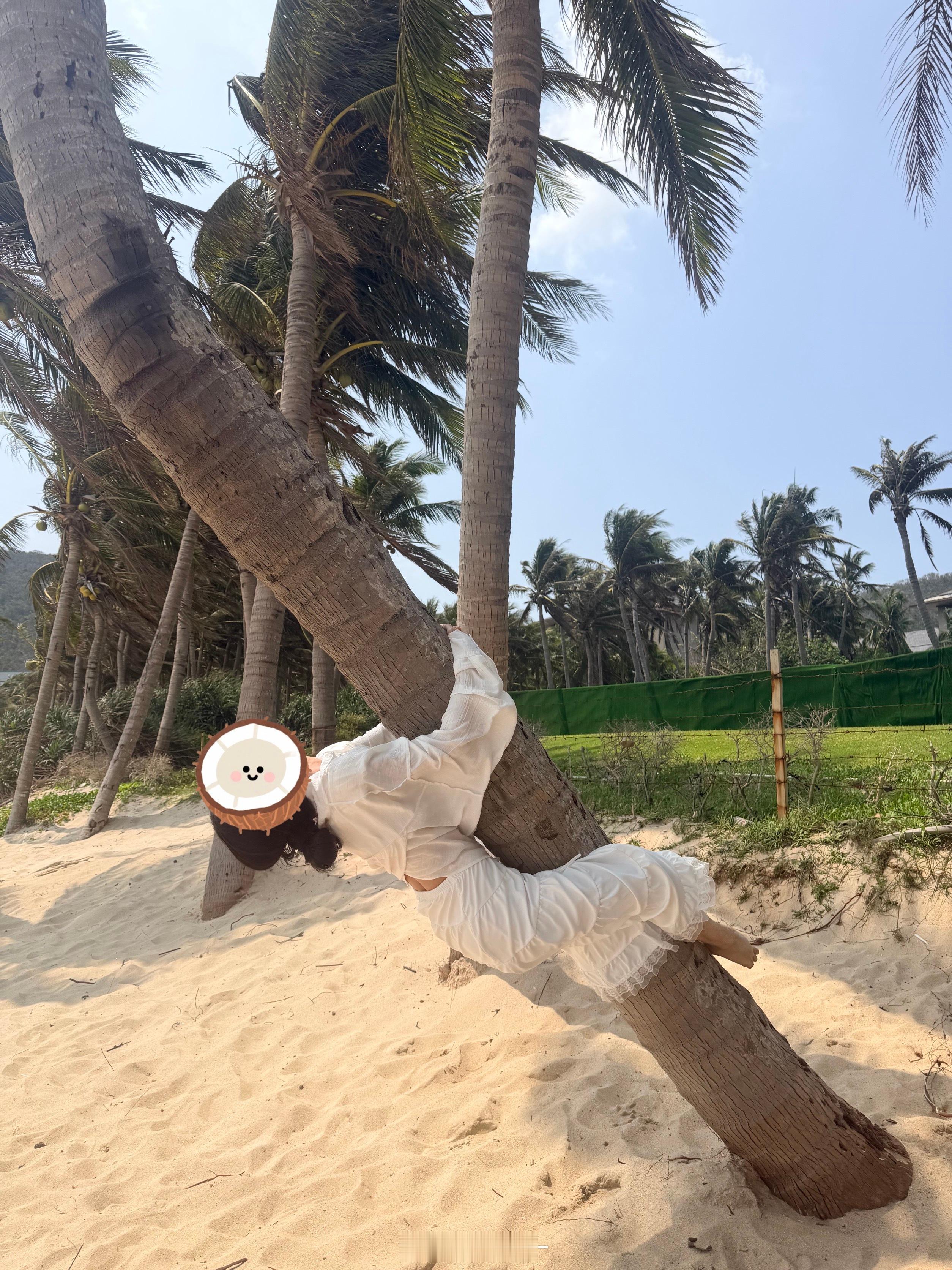 🏝 三亚·太阳湾高级度假区