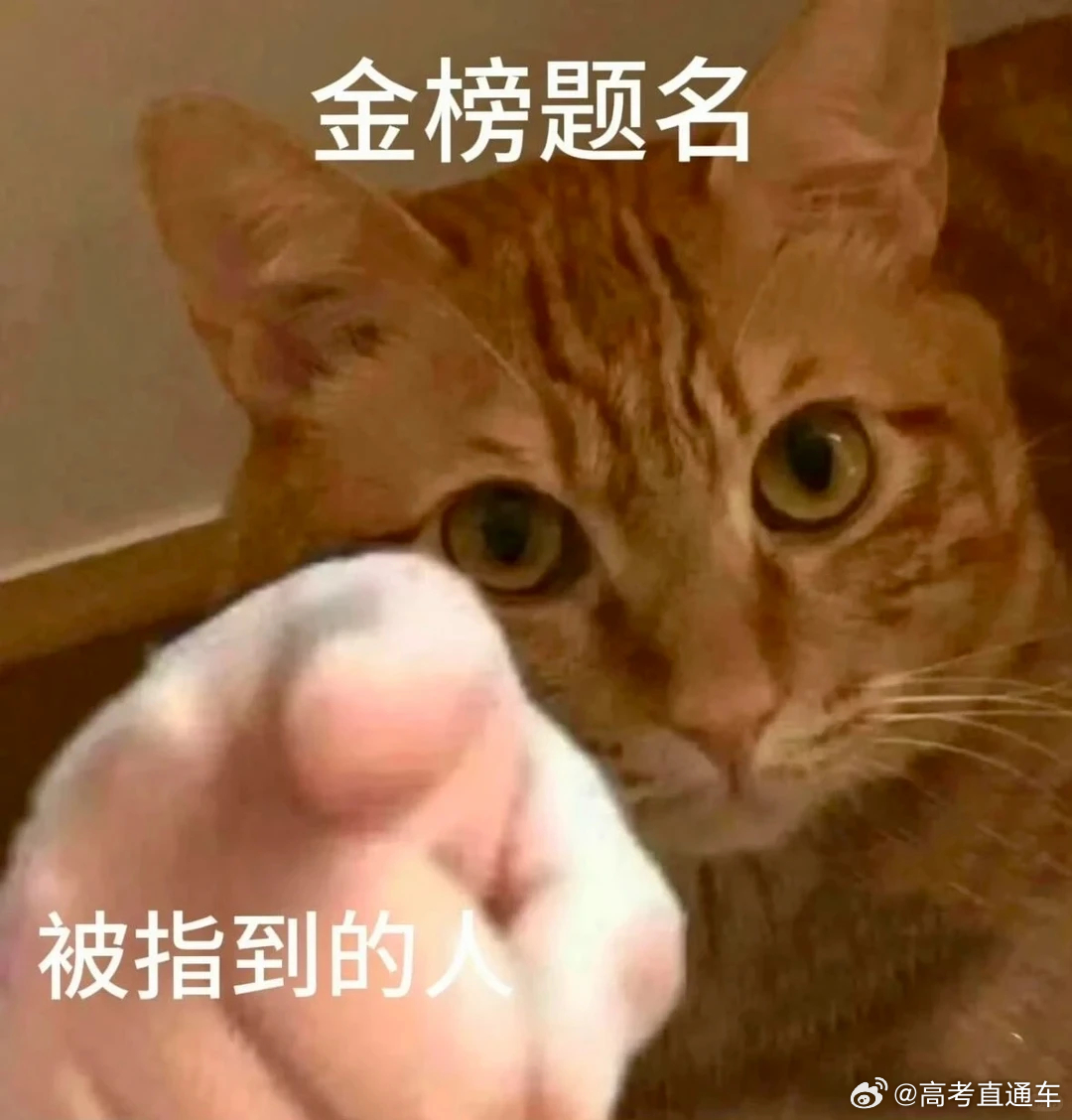 有高考语文 提前交卷的同学吗？你们作文考了什么？听说全国I卷高考作文 考了对“词