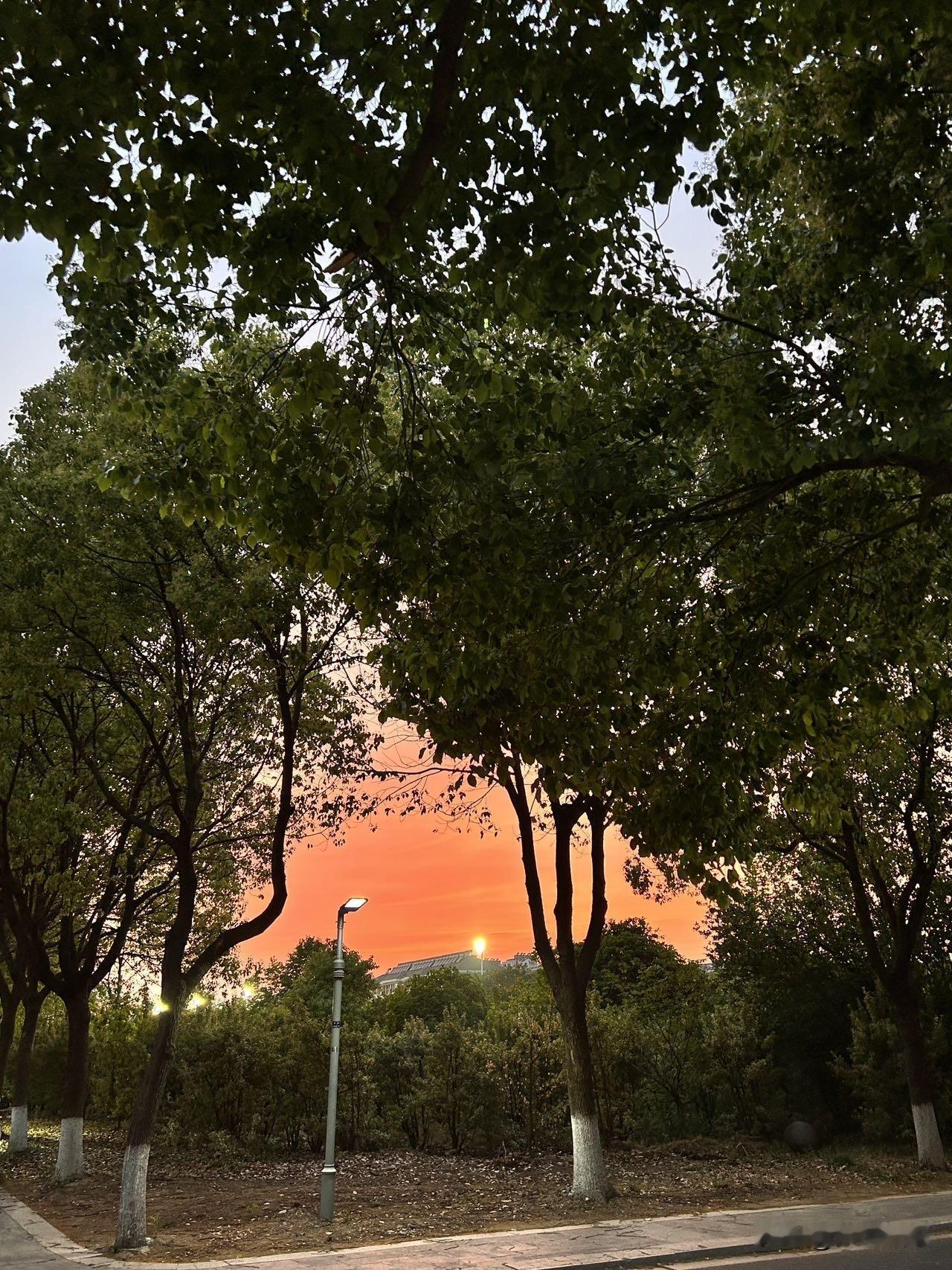 一个人
走在回家的路上
一轮橙红
在绿意中若隐若现
夕阳西斜
时间已向往

迈出