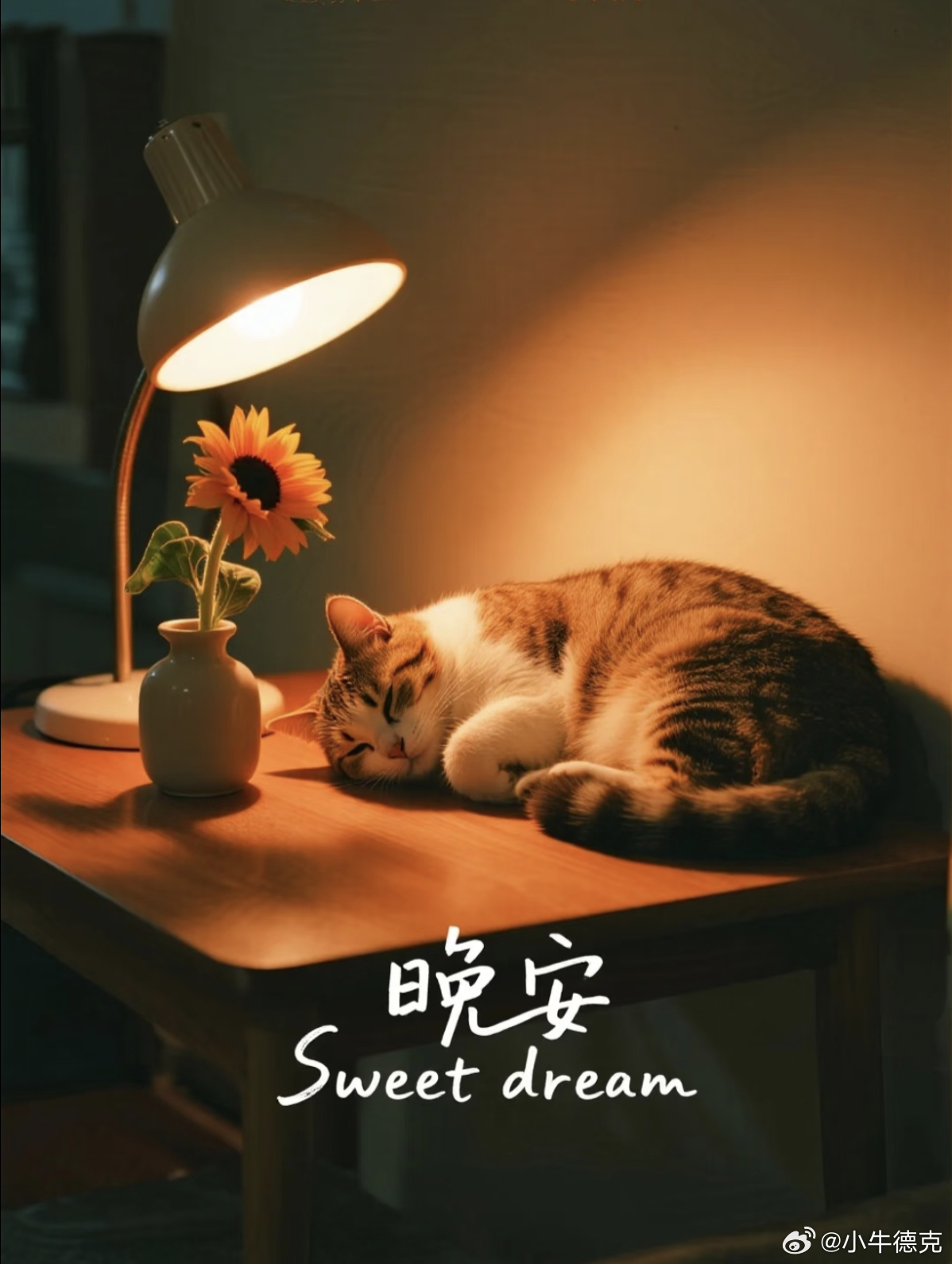 晚安朋友们，尽可能早睡