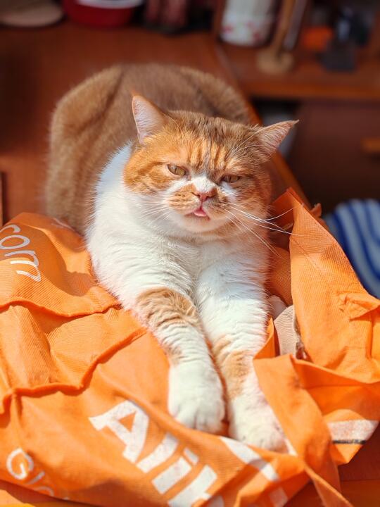 🍊