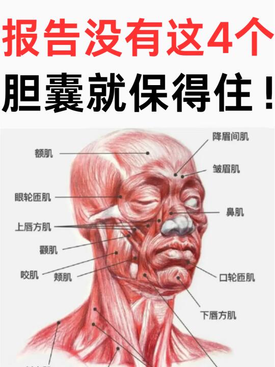 报告没有这4个，胆囊就保得住！