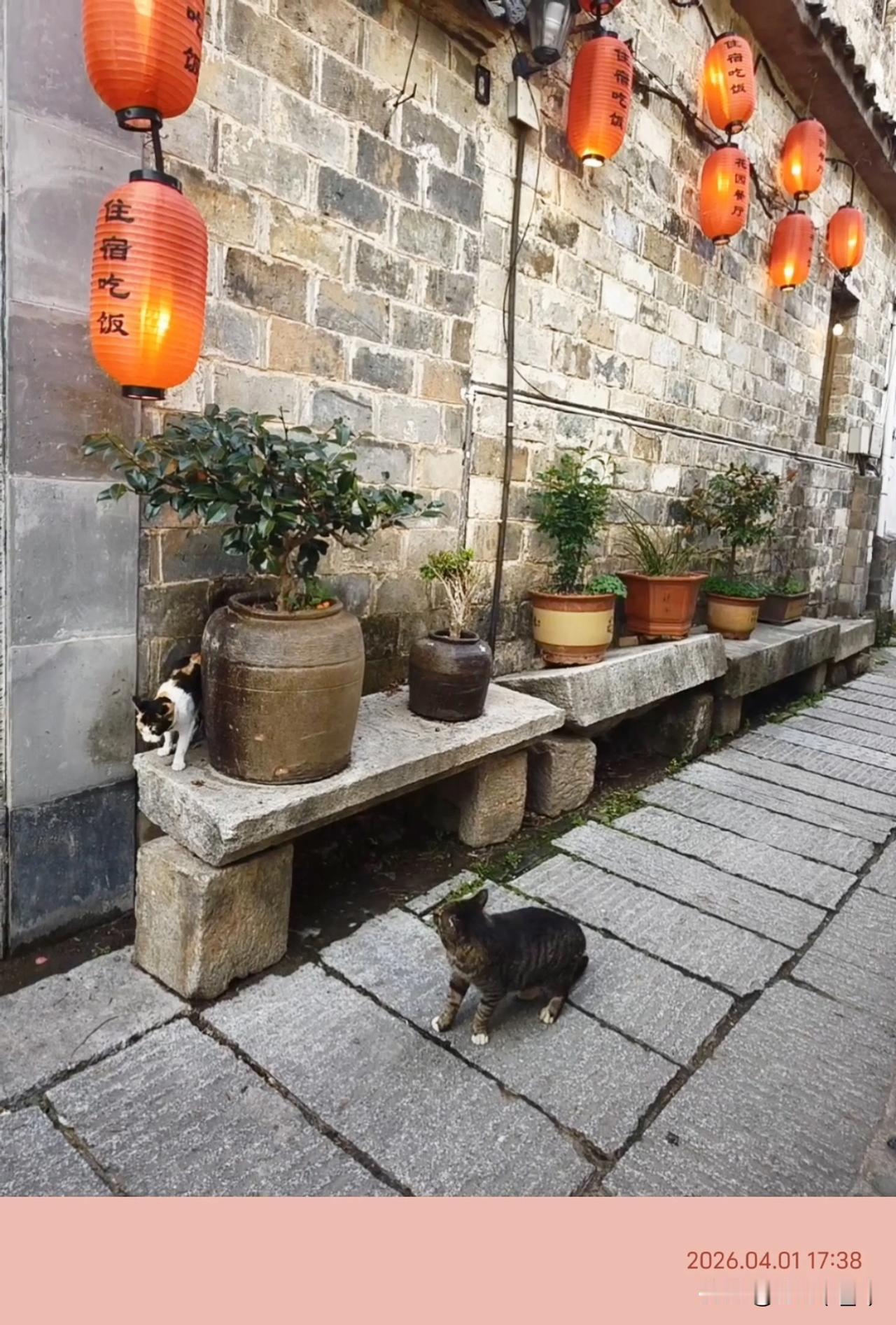 我们总在说要爱自己、置顶自己的感受，可到底什么才是真正的爱自己？
 我总结了一丢
