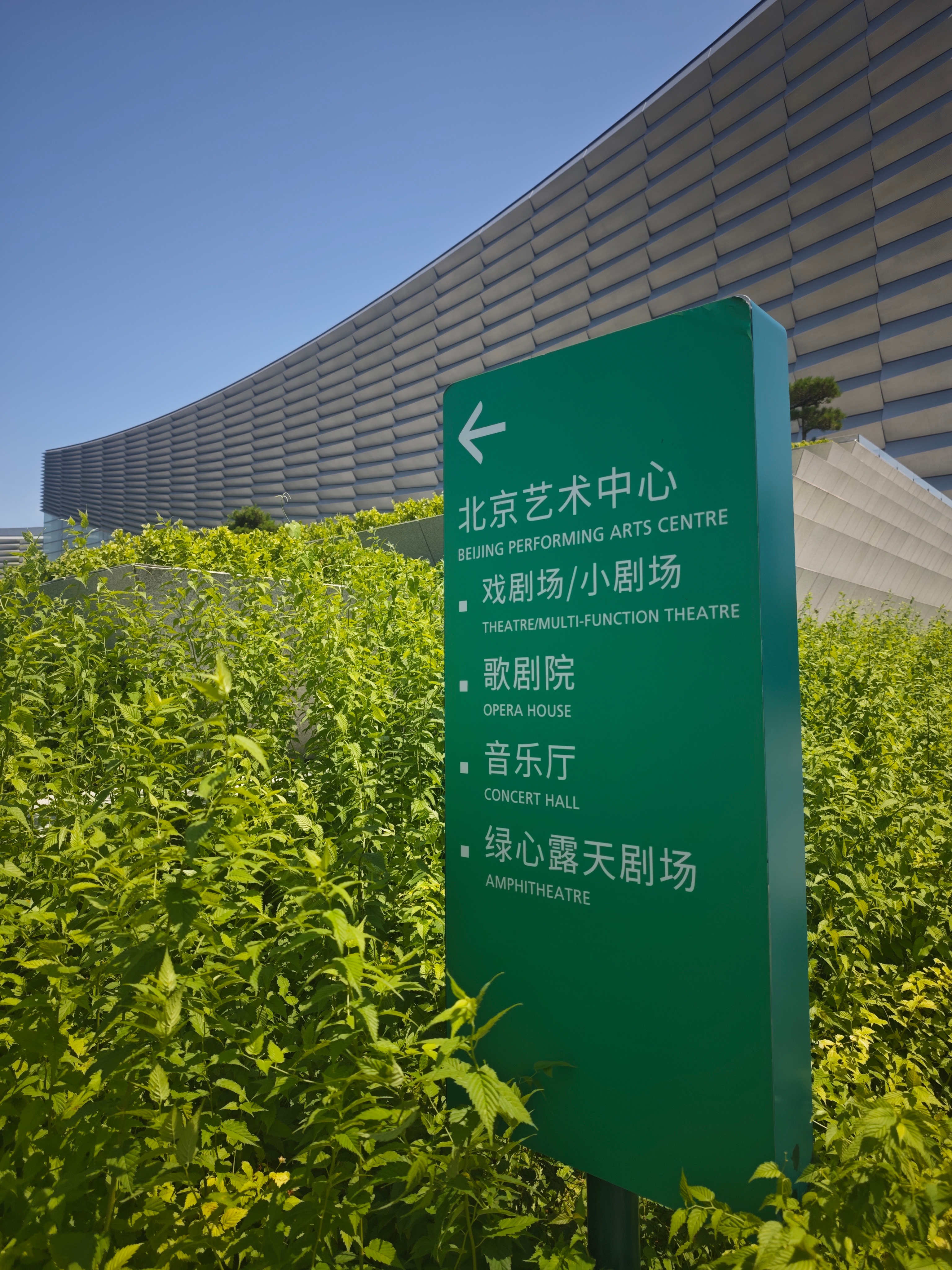 舞剧唱支山歌给党听 一千里，只为这一场。忍着一个月没有听山歌的原声音乐。只为获得