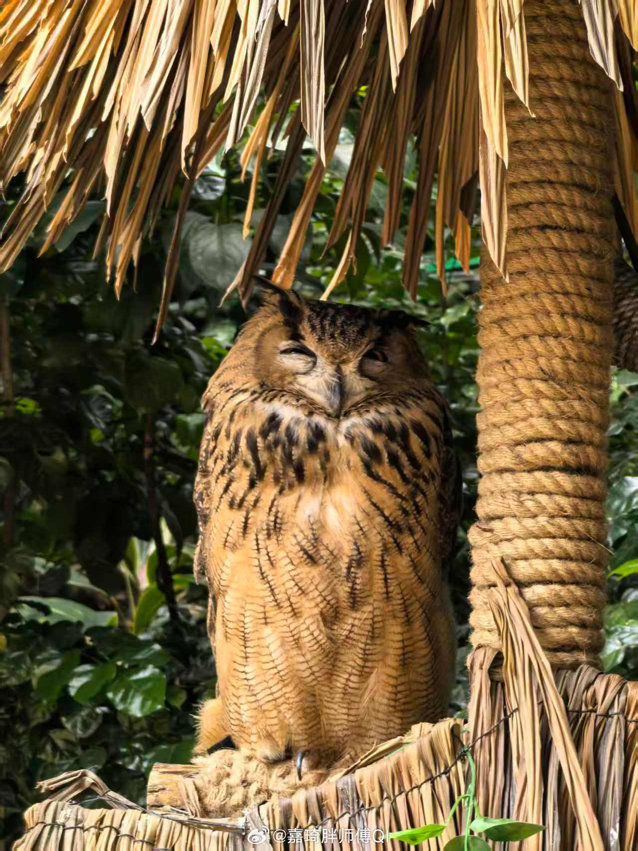 眯个眼偷看我你啥意思生活手记