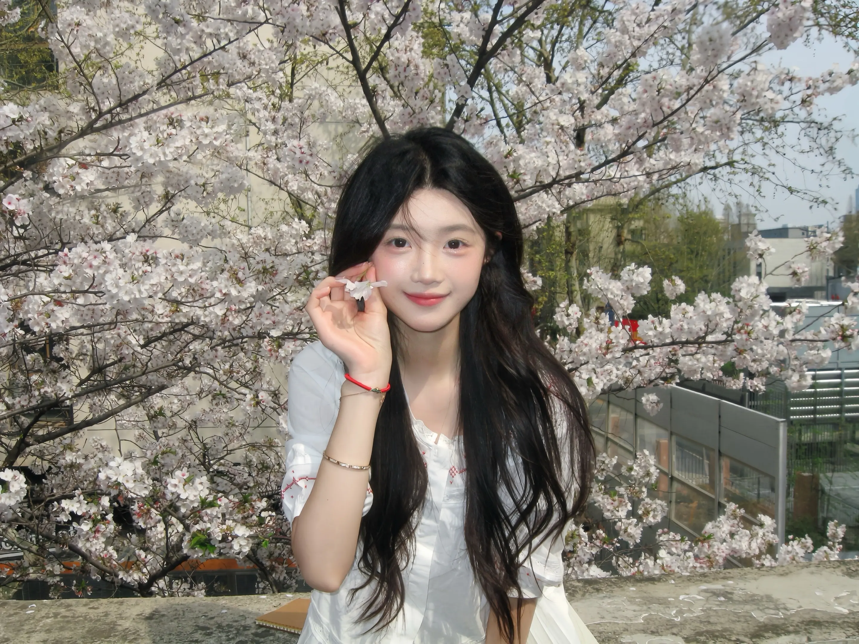 樱花树下是我的春天🌸