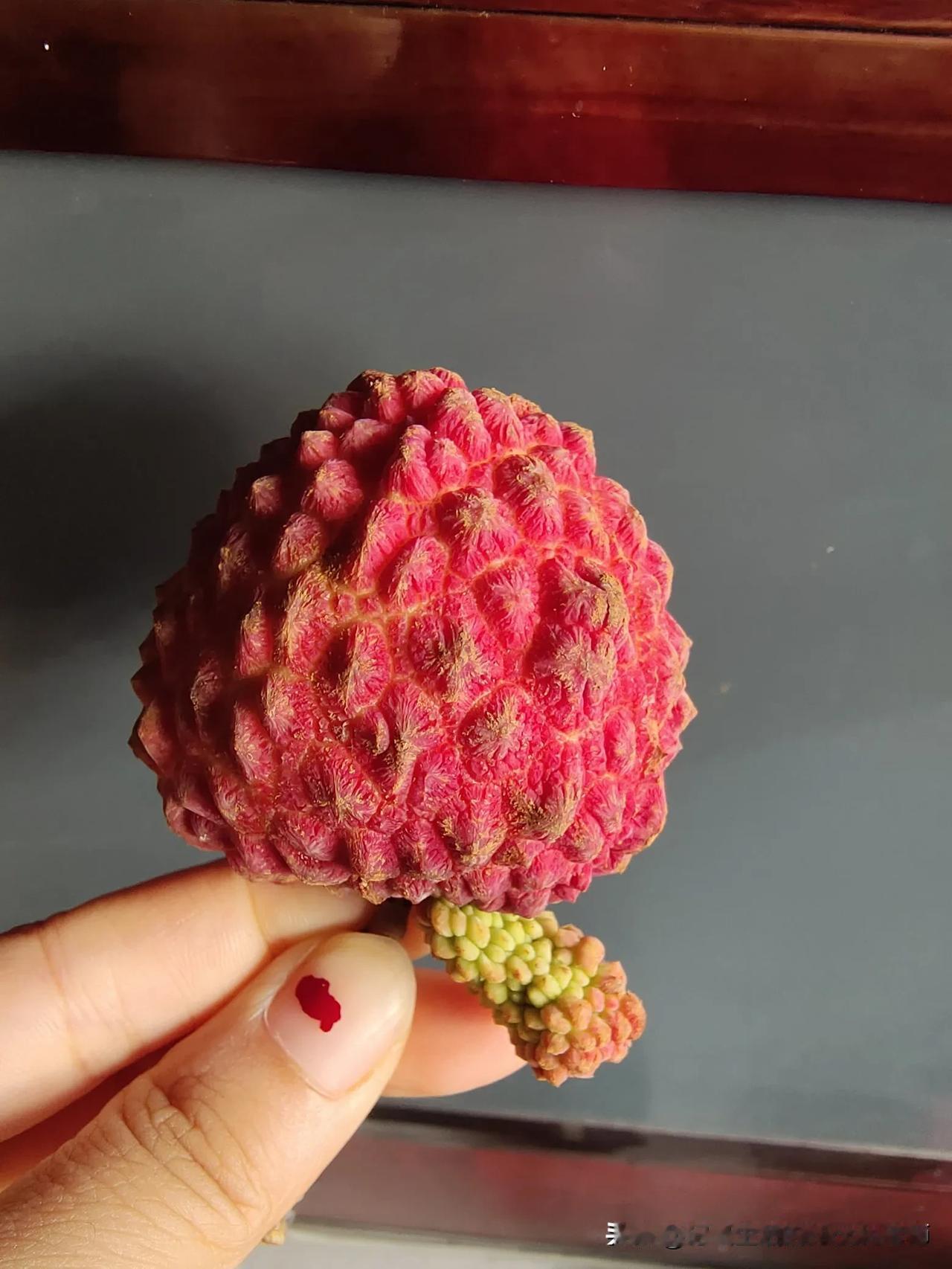 好大的一颗荔枝