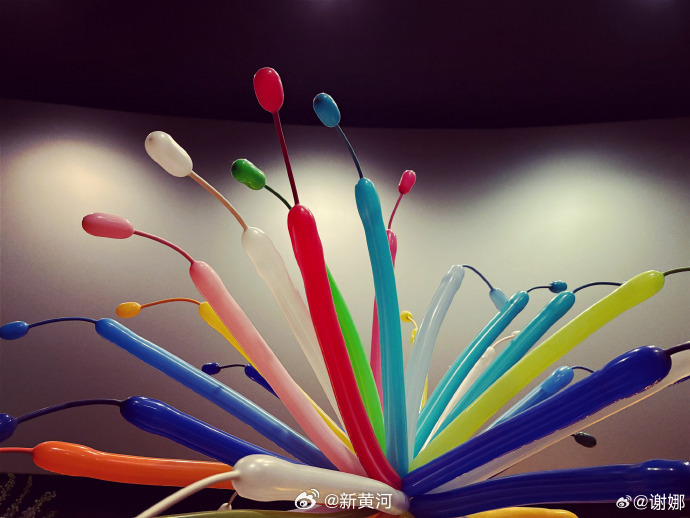 【#谢娜喊话杰哥你快乐所以我快乐#】12月20日，内地首部华语演唱会电影《张杰曜