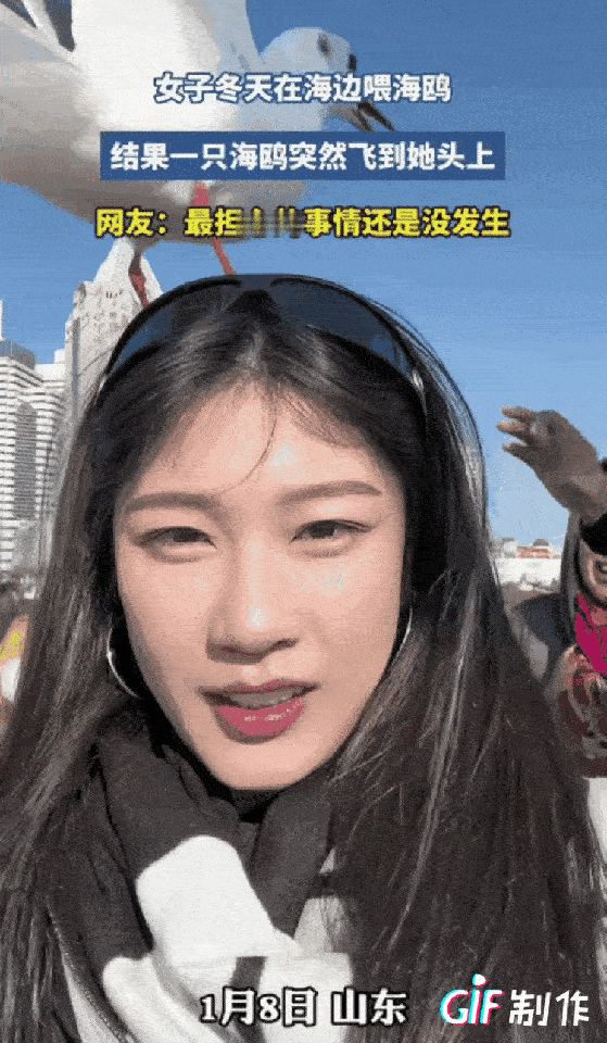 山东有个大姐去海边看海鸥，突然一只海鸥“噗”地一下飞到她头顶停下了。本来以为她得