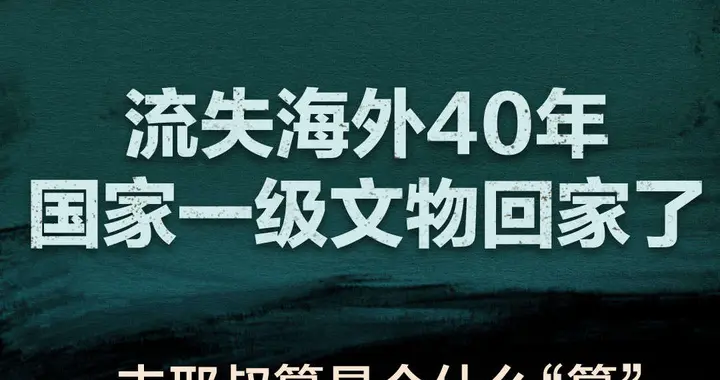 流失海外40年的一级文物丰邢叔簋，是个什么“簋”